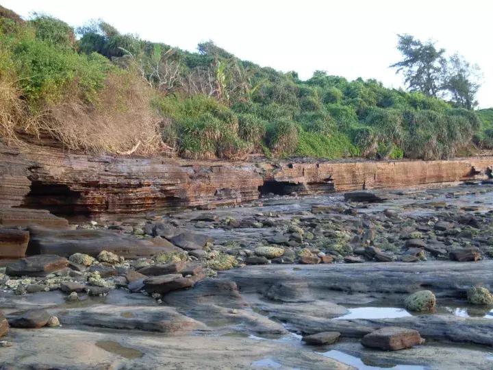 大宁威风锣鼓队,大宁闹十五威风锣鼓