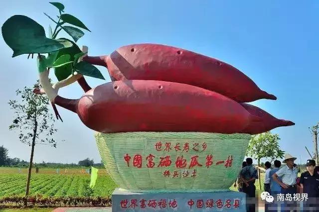 去海南必买的伴手礼,还在纠结送什么礼物吗