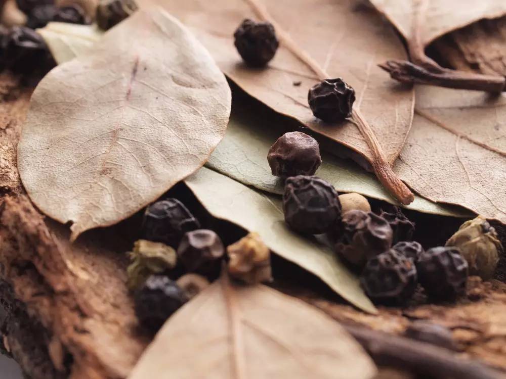 高大上的月桂，就在我们身边