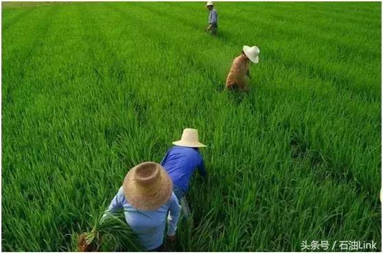 中国石油第一城,坐拥35亿吨石油