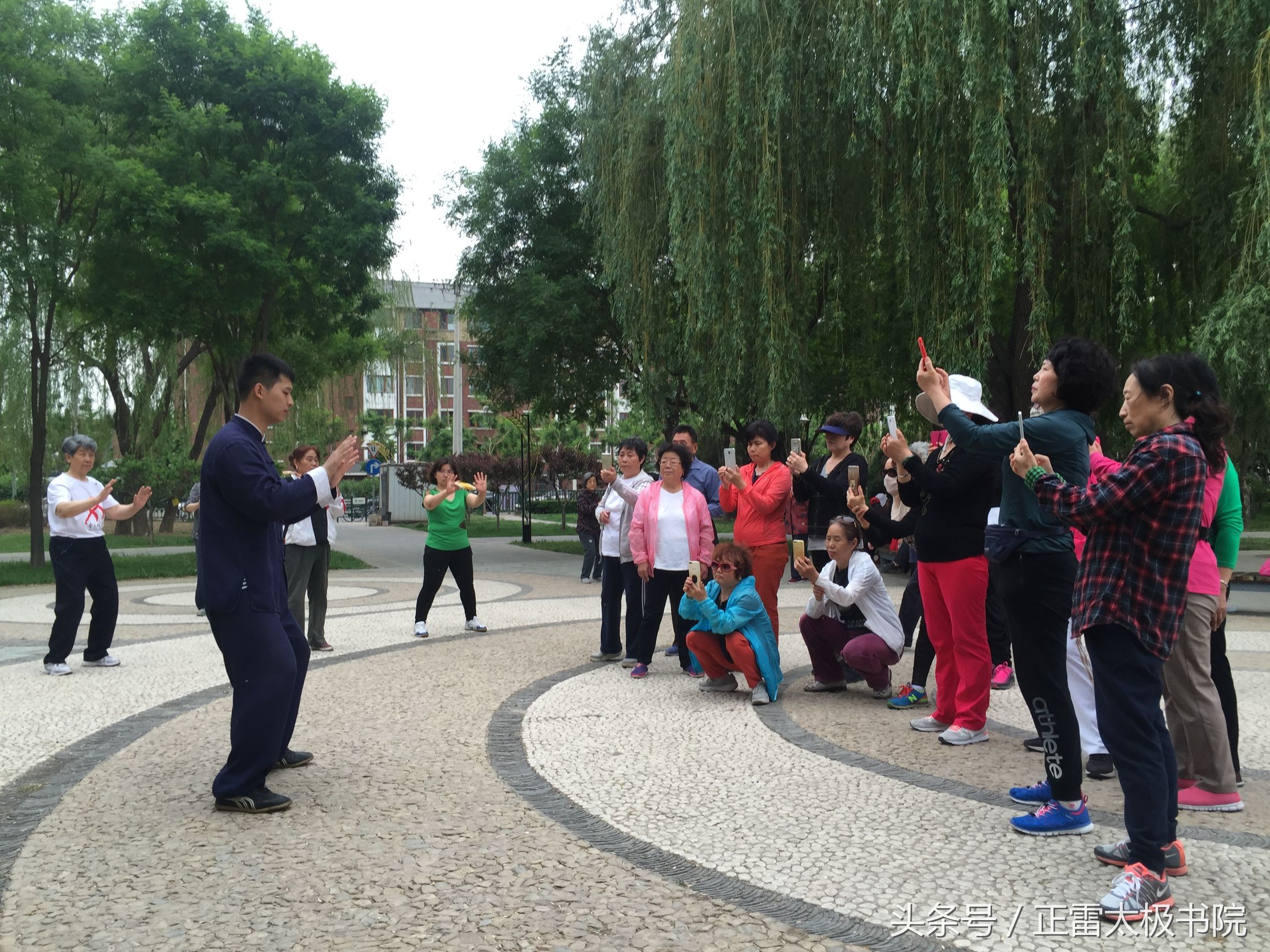 太极拳怎么练才能练好,怎样练好太极拳基本功