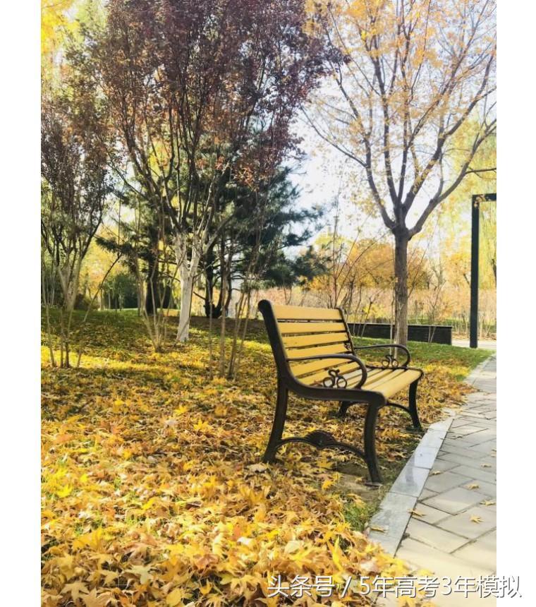 我国的财经大学哪家强,中国的财经类大学排名