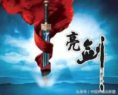 猪料900万吨！狼一样的双胞胎亮剑2017！