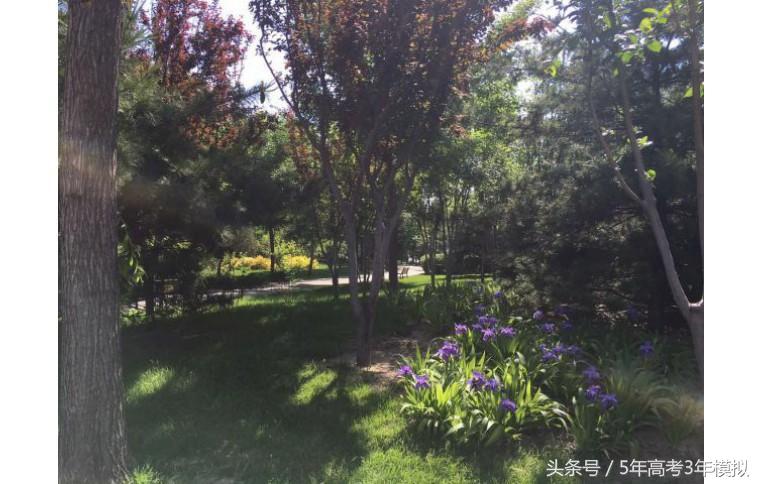 我国的财经大学哪家强,中国的财经类大学排名