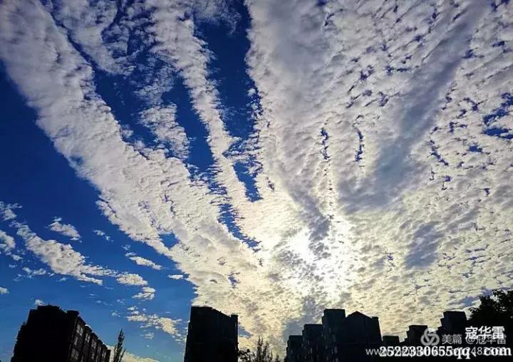 中国天然氧吧为什么是永寿,永寿槐林氧吧