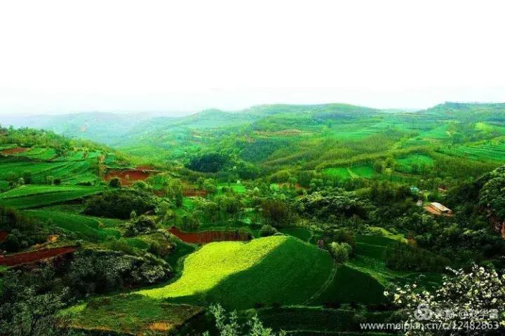 中国天然氧吧为什么是永寿,永寿槐林氧吧