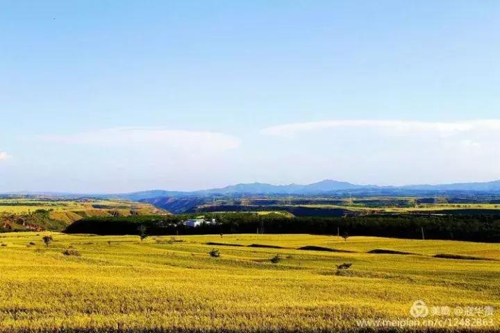 中国天然氧吧为什么是永寿,永寿槐林氧吧