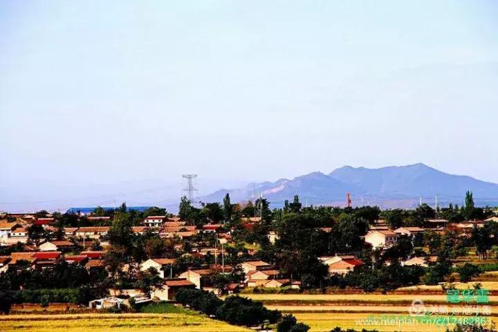 中国天然氧吧为什么是永寿,永寿槐林氧吧