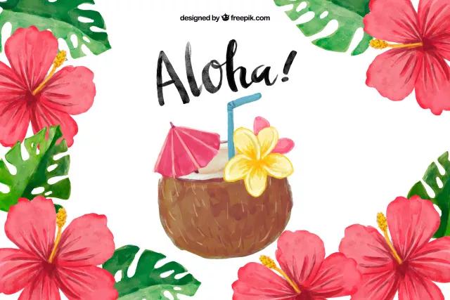 超好喝的椰子水清爽,正宗的椰子水什么味道