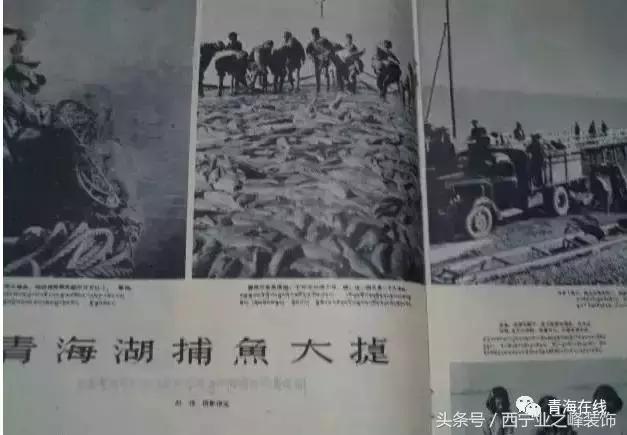 太有才了！一欢蛋把青海30个地名连在一起读