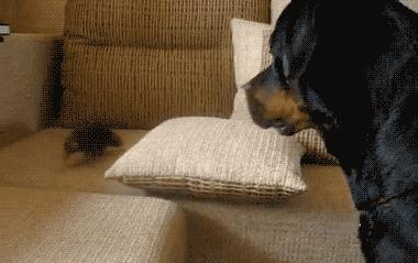 姣忔棩绗戞姤鐖嗙瑧璇綍,姣忔棩绗戞姤2014