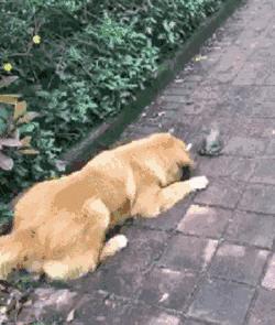 姣忔棩绗戞姤鐖嗙瑧璇綍,姣忔棩绗戞姤2014