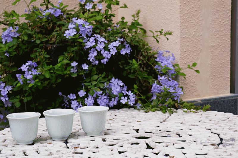 超好喝的椰子水清爽,正宗的椰子水什么味道