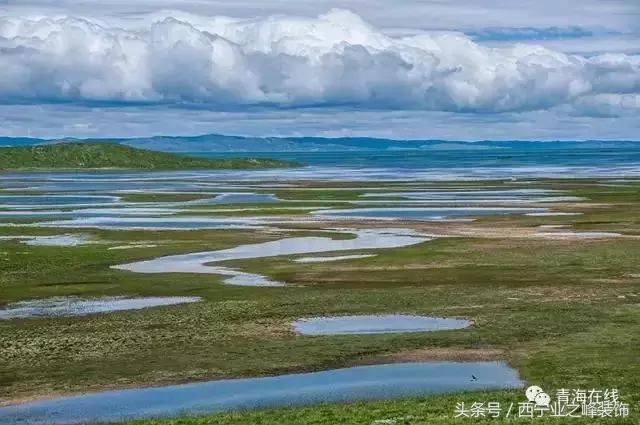 太有才了！一欢蛋把青海30个地名连在一起读