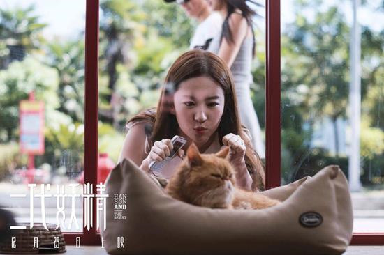 2017年年底上映的电影有哪些,2017年还有哪些电影