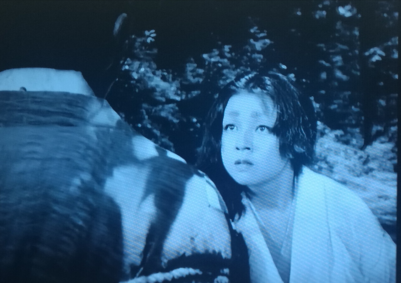 罗生门细思极恐的细节,罗生门真相分析