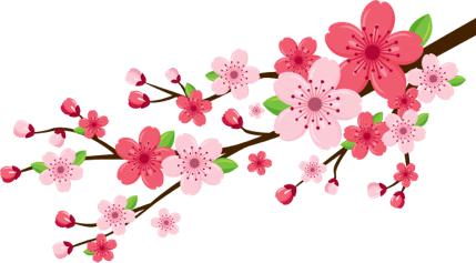 一轮生肖四方联邮票价格,2018戊戌年生肖邮票纪念册