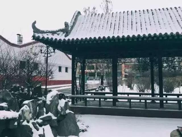 兰理工哈理工｜跨越2800公里，你好！我的东北老铁哈尔滨理工大学