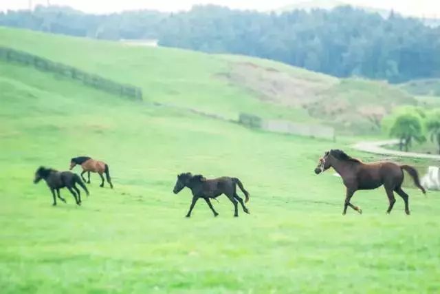 2022年永川的高铁开通了吗,永川到重庆高铁什么时候开通