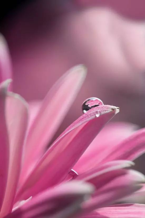 摄影圈里的黑话有哪些,摄影圈你知道哪些黑话