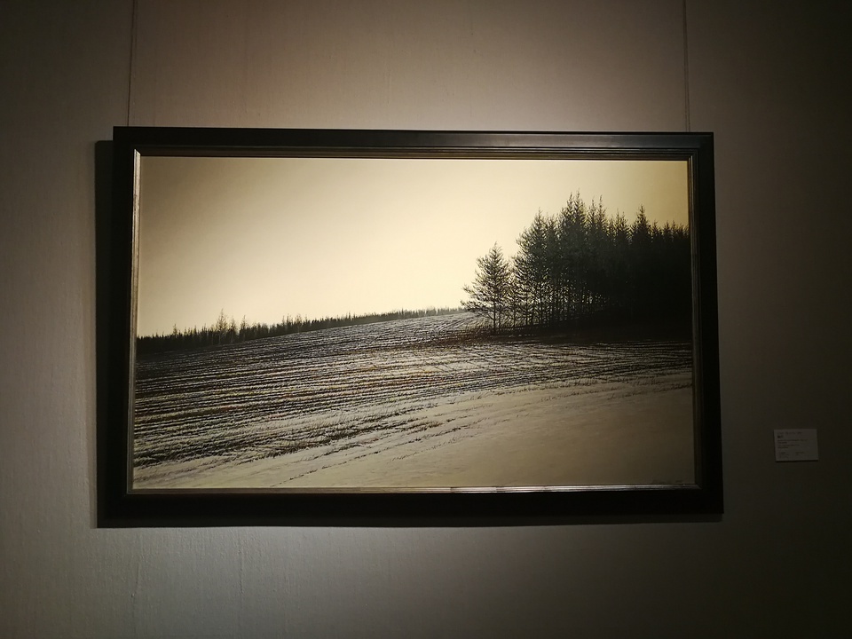 豆瓣日记:20171122中国美术馆：本想看白石，却意外收获了一箩筐的白俄