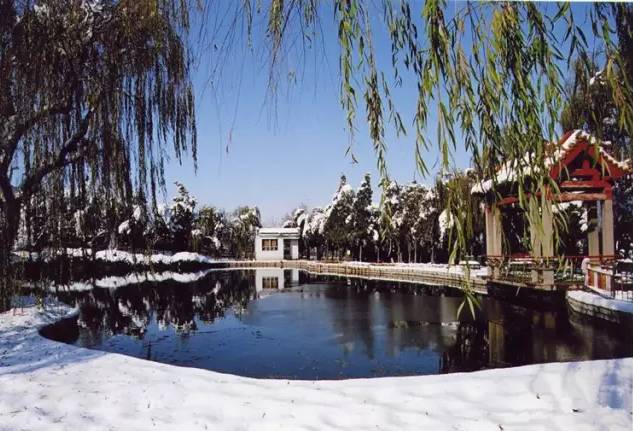 临沂人旅游攻略,临沂人清明去哪玩