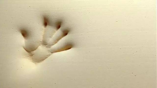 如何高效的加班,怎么才能让自己接受加班