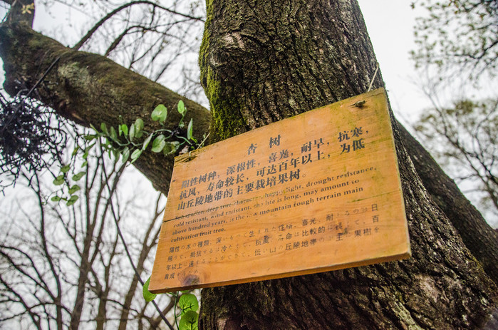 溧阳南山竹海和御水温泉,溧阳天目湖御水温泉旅游攻略
