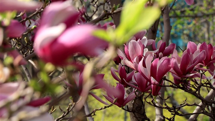 佳能eos80d拍照怎么样,七年前的佳能eos80d相机值得入手