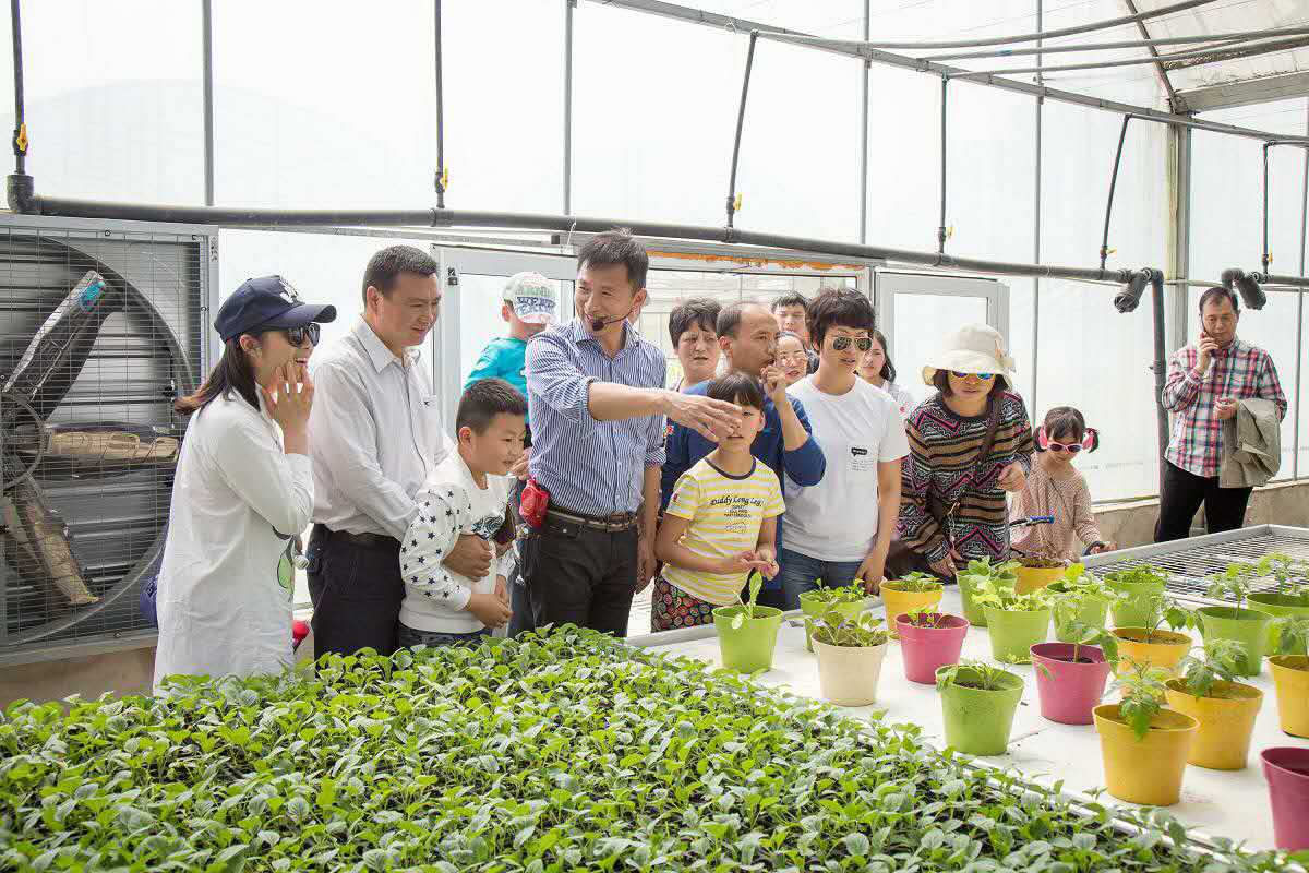 尚作有机,尚作有机蔬菜