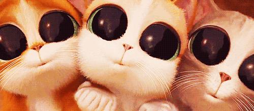 原来思聪后宫团都是美瞳控！如何放电“养”眼两不误？