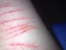 黑历史究竟是怎么被扒出来的,来细数一下当年的黑历史