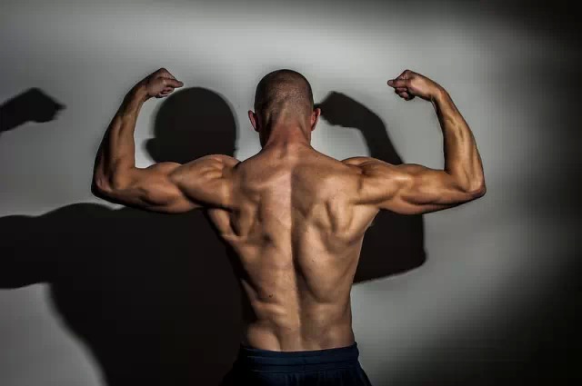 100个增肌健身动作大全,增肌徒手动作30分钟