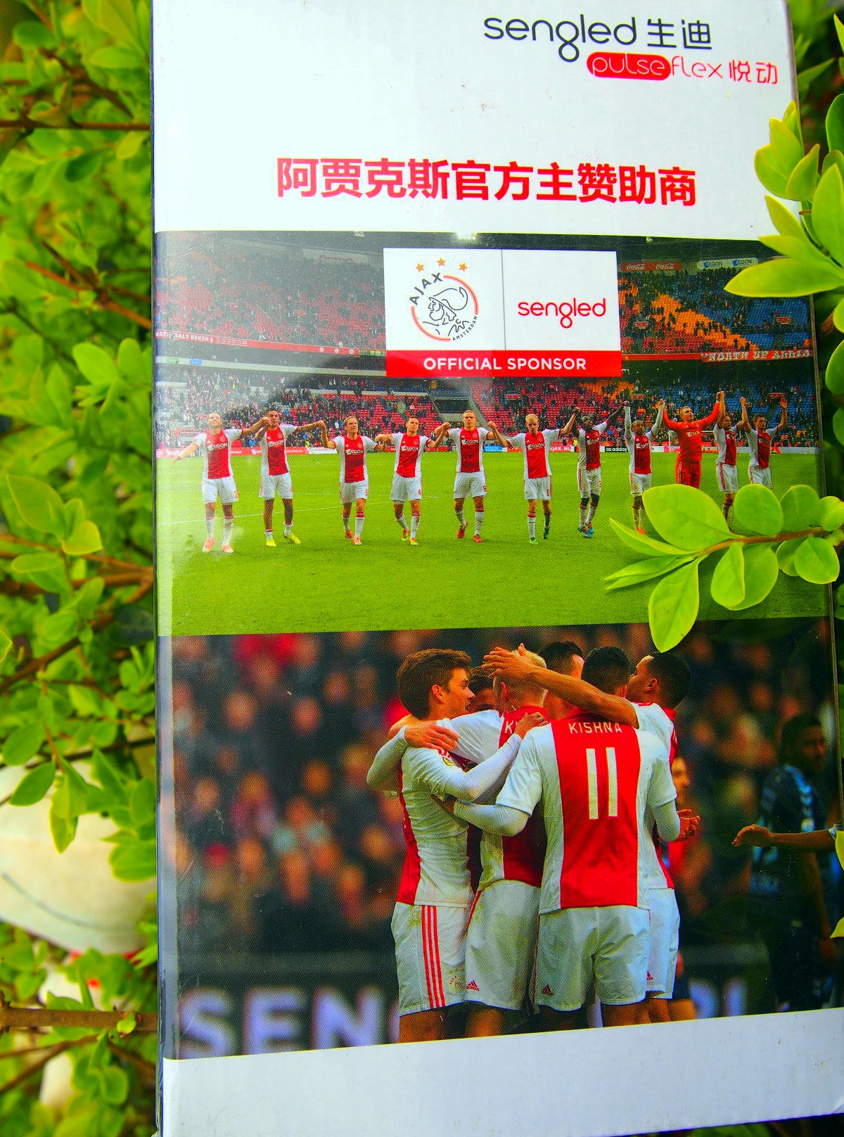 生迪智能灯,生迪无线音乐智能灯