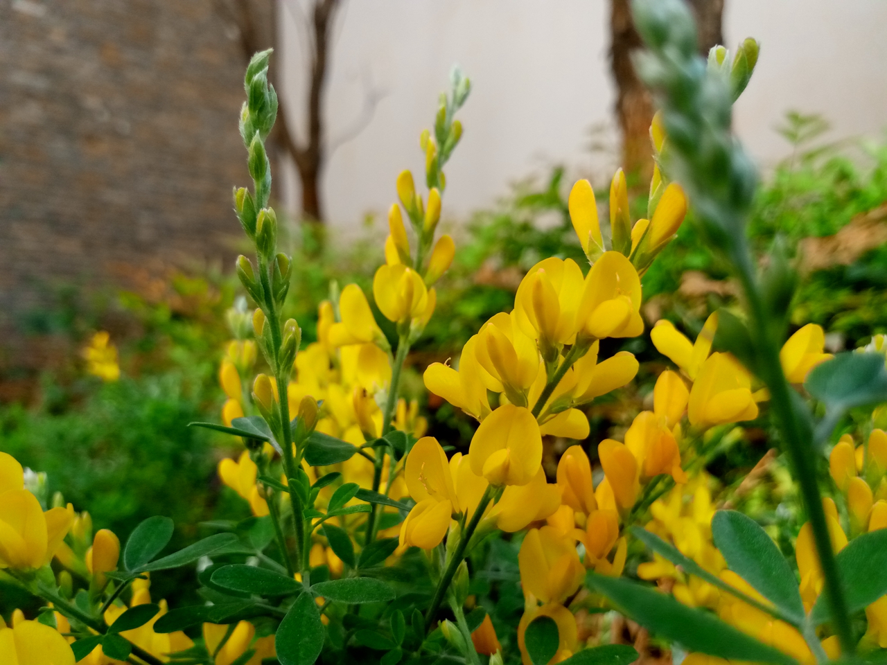 金立w909测评,金立天鉴w909缺点