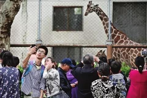 鎴戞兂鍘诲北椤剁湅椋庢櫙,鎴戝彧鎯冲幓灞遍《鐪嬫洿缇庣殑椋庢櫙