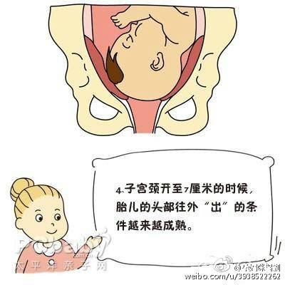 分娩子宫峡部变化,子宫颈细胞变化