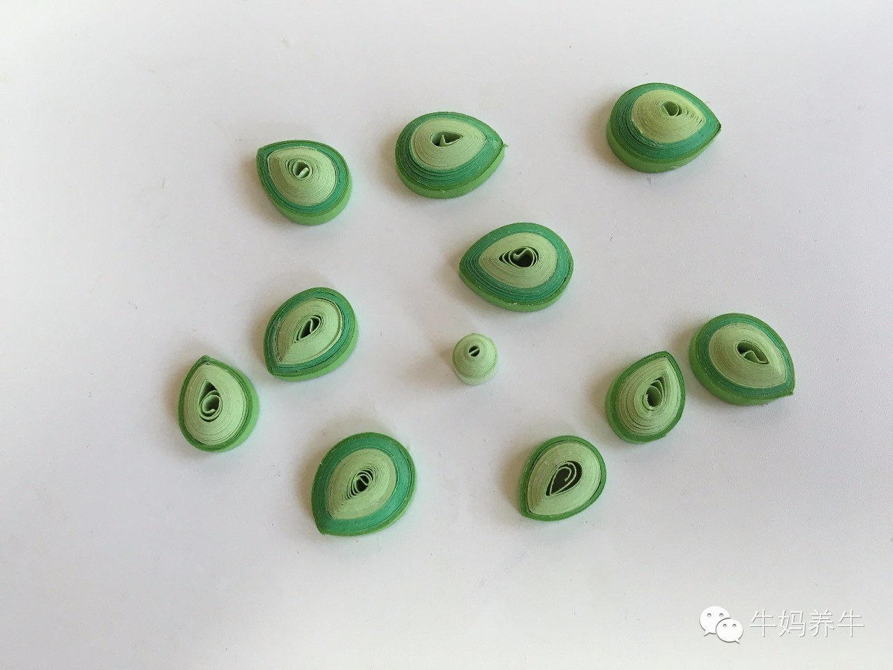 衍纸创意手工简单图片,衍纸手工亲子