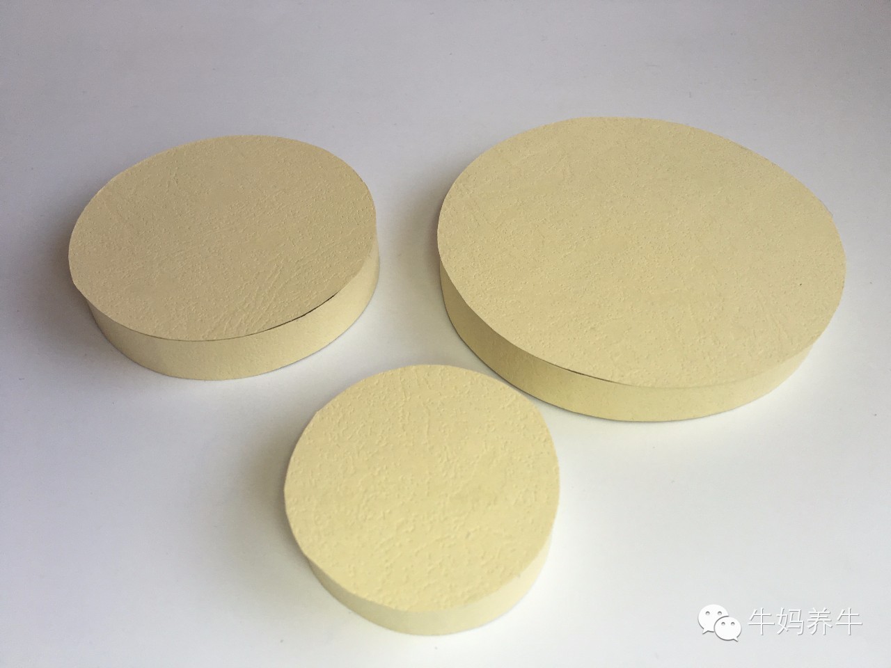 衍纸创意手工简单图片,衍纸手工亲子