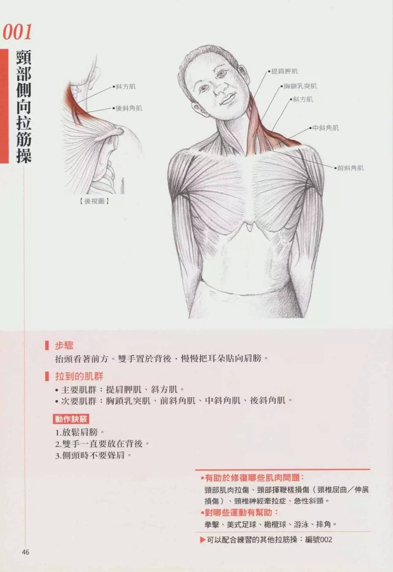 拉筋养生书,拉筋拍打书籍大全