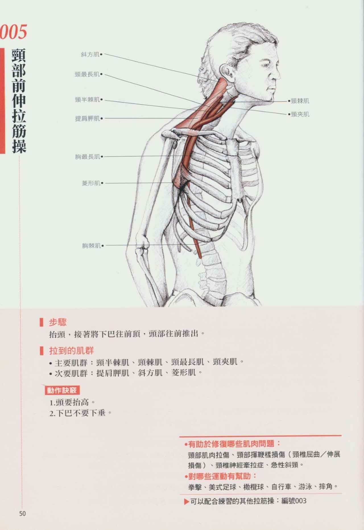 拉筋养生书,拉筋拍打书籍大全
