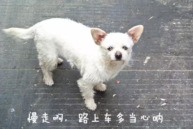 连云港早上好吃的早餐附近,连云港海州区好吃的早餐