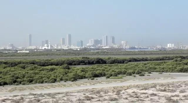 迪拜和阿布扎比是同一个国家吗,迪拜和阿联酋的关系