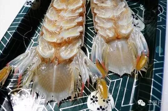 怎么挑皮皮虾视频,怎么挑皮皮虾带蛋