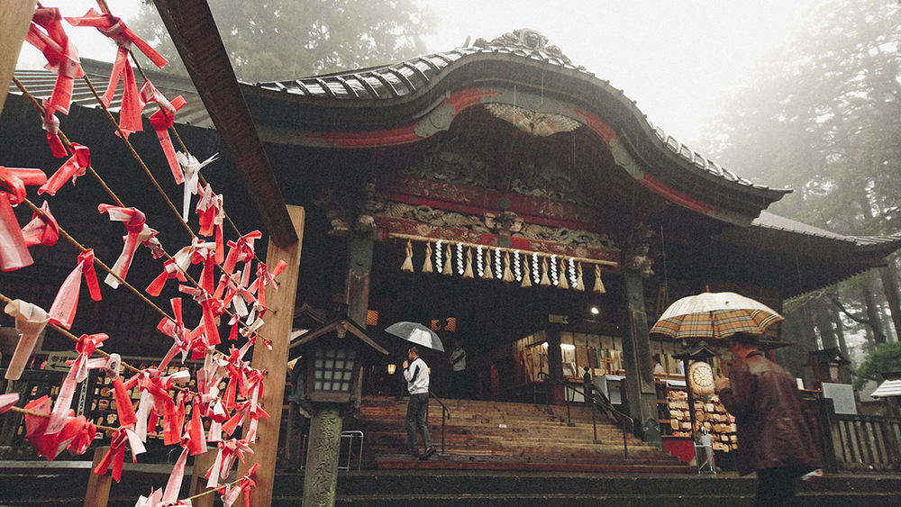 #与索尼为5#赏樱之旅之三：暴雨中方见机身防水之本色！