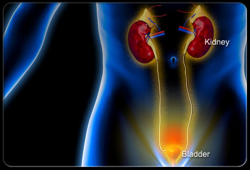 盆腔疼痛怎么引起的,盆腔疼痛是什么原因引起的
