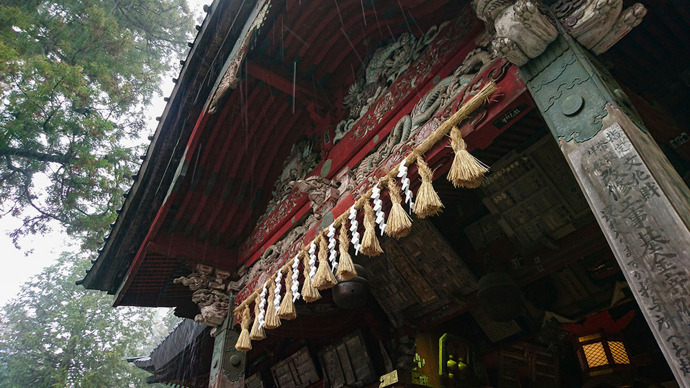 #与索尼为5#赏樱之旅之三：暴雨中方见机身防水之本色！