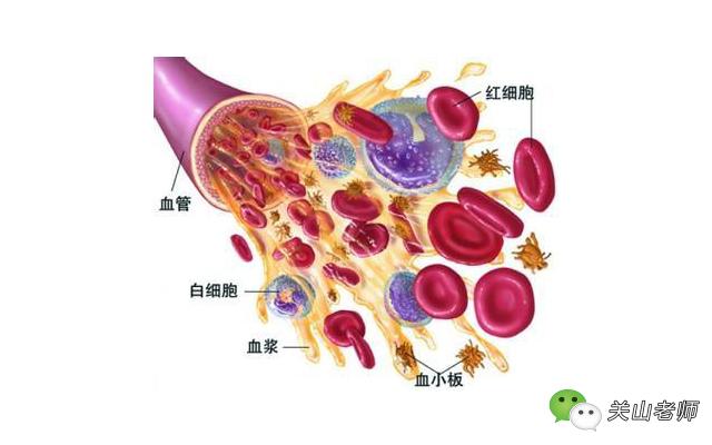史上最权威，最科学，最准确识别胎儿性别的方法！