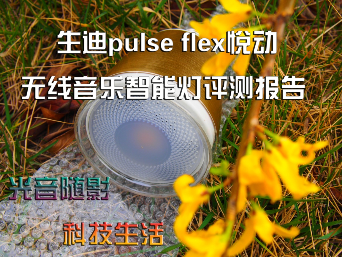 生迪智能灯,生迪无线音乐智能灯