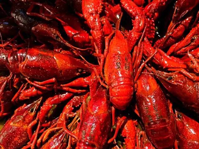 就算你开着玛莎拉蒂，*博兰**基尼也不一定能吃到她家龙虾，每天就这